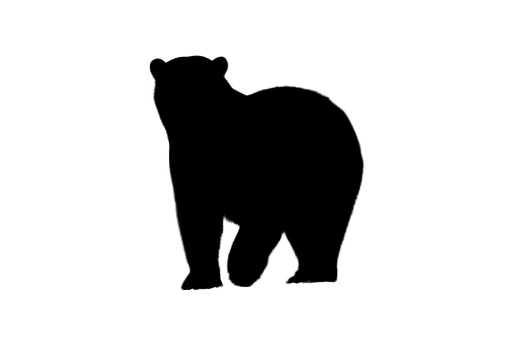 Bear SVG