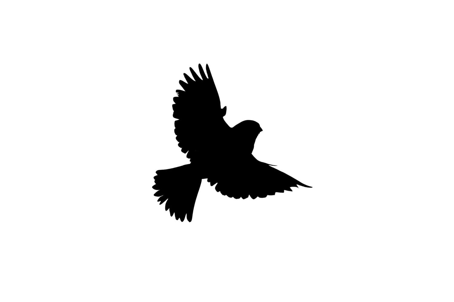 Bird SVG