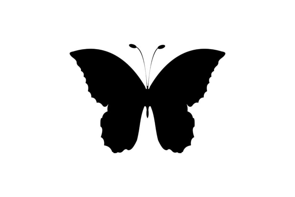 Butterfly SVG