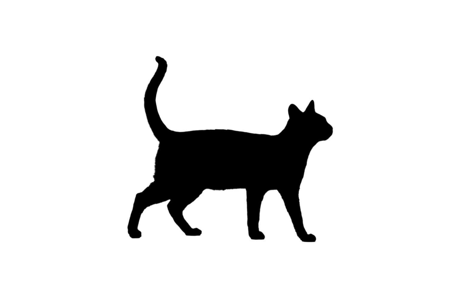 Cat SVG