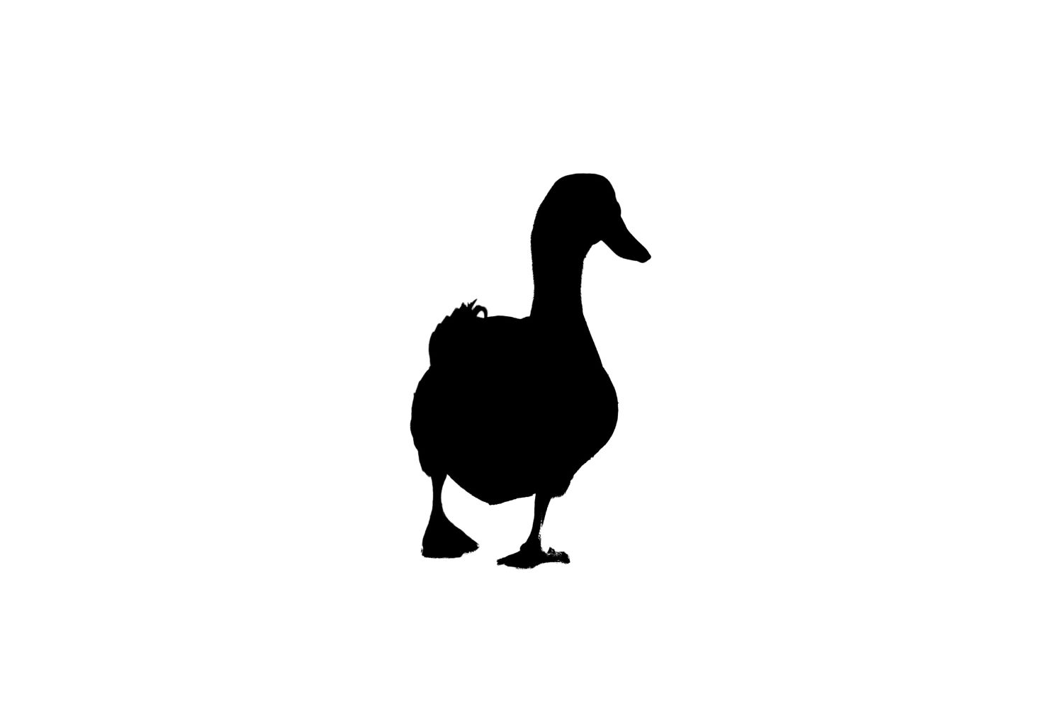 Duck SVG