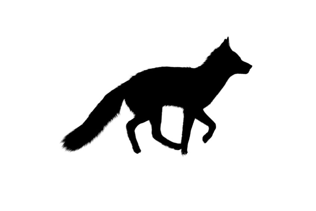Fox SVG