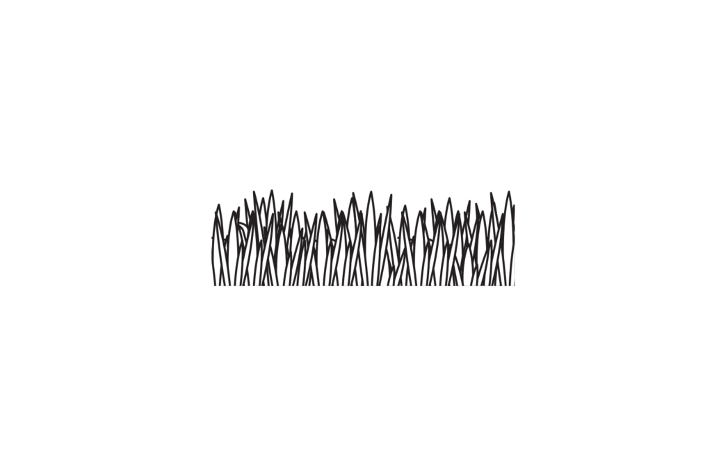 Grass SVG