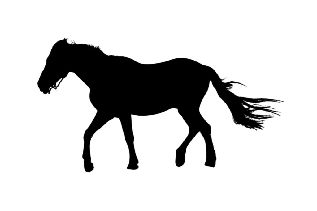Horse SVG