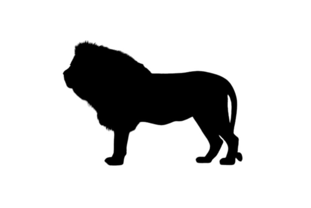 Lion SVG