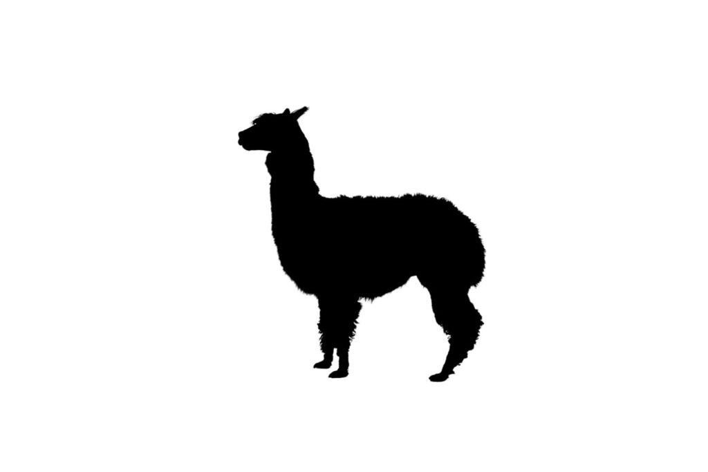 Llama SVG