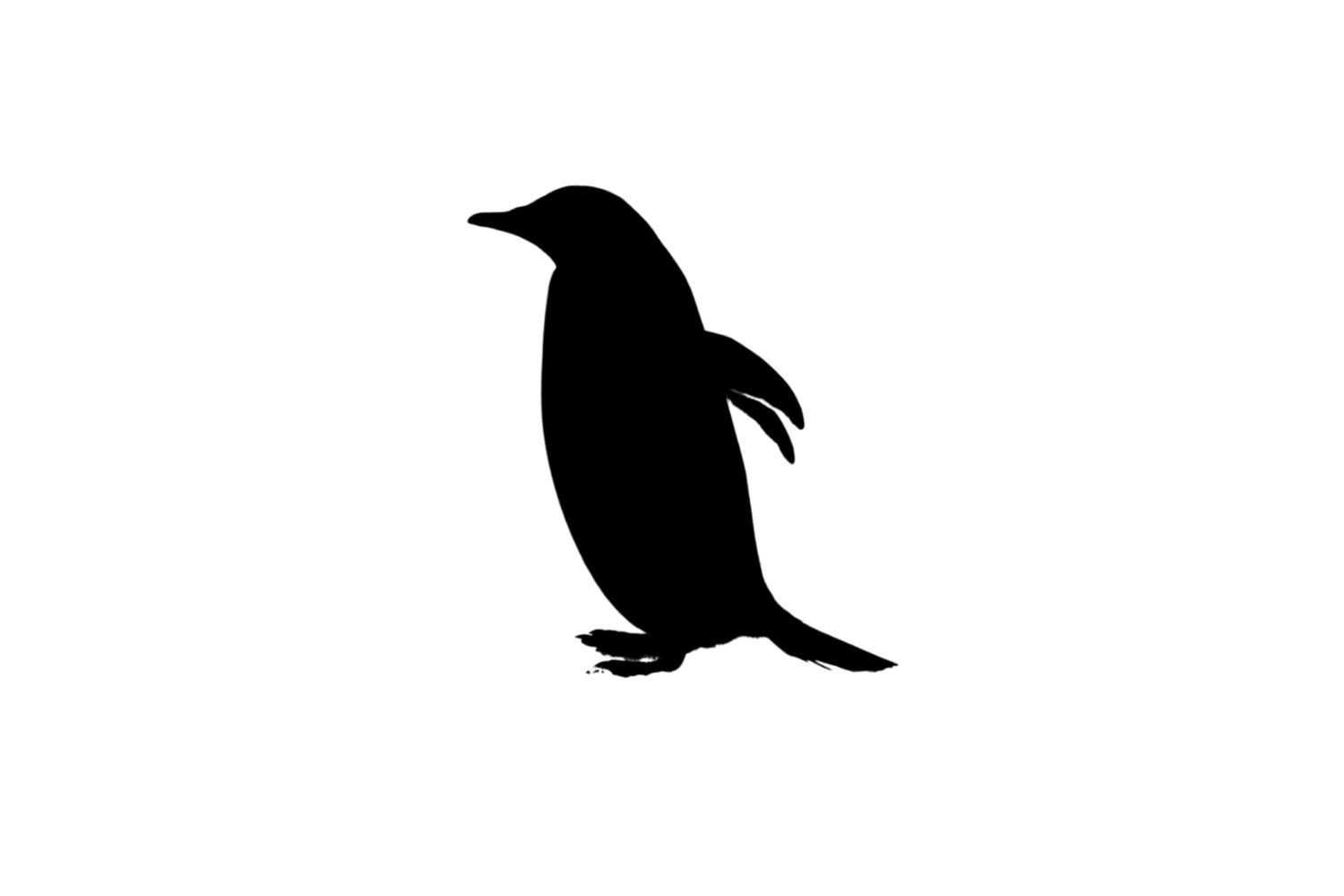 Penguin SVG