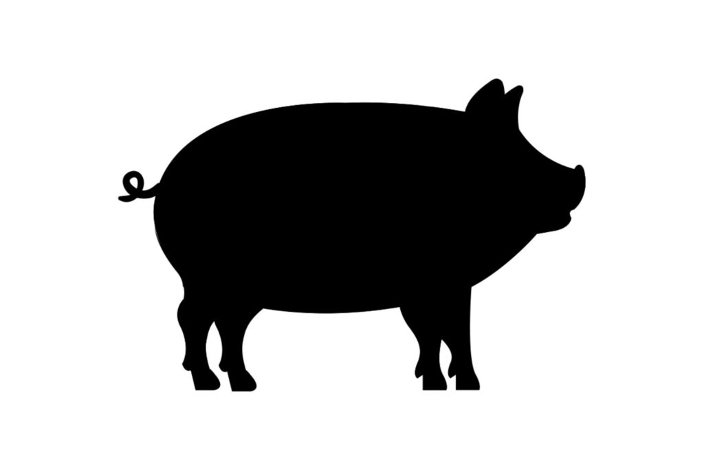 Pig SVG