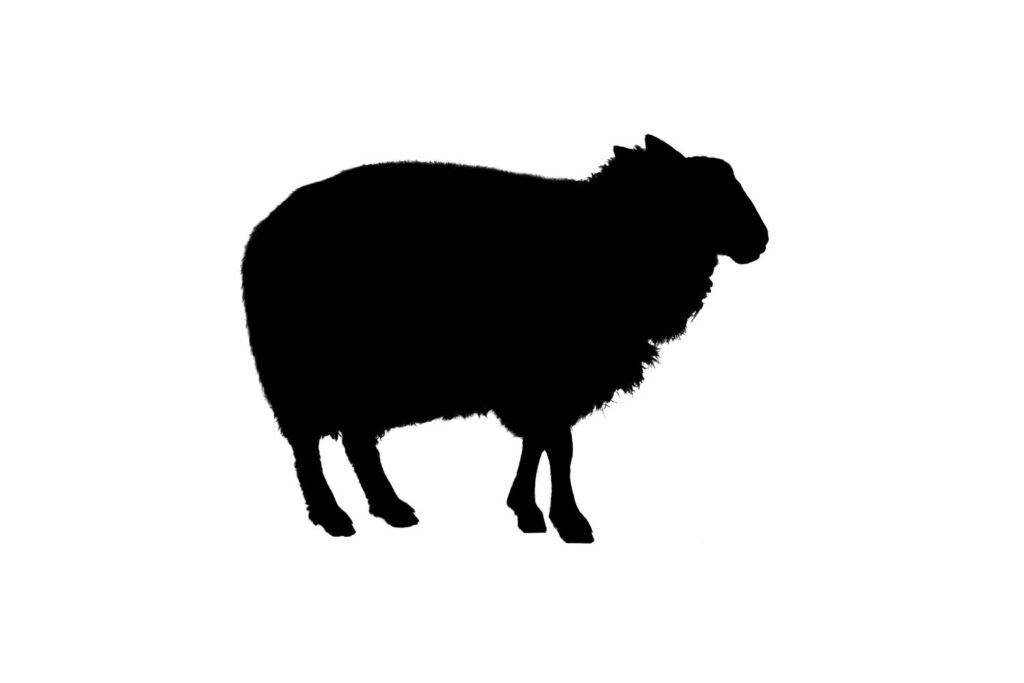 Sheep SVG