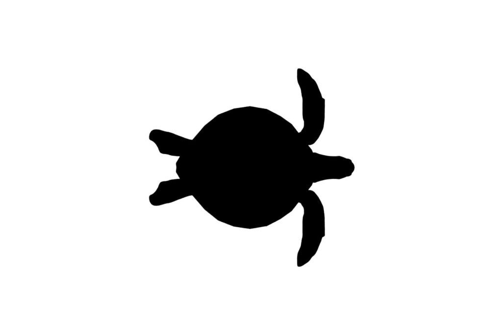 Turtle SVG