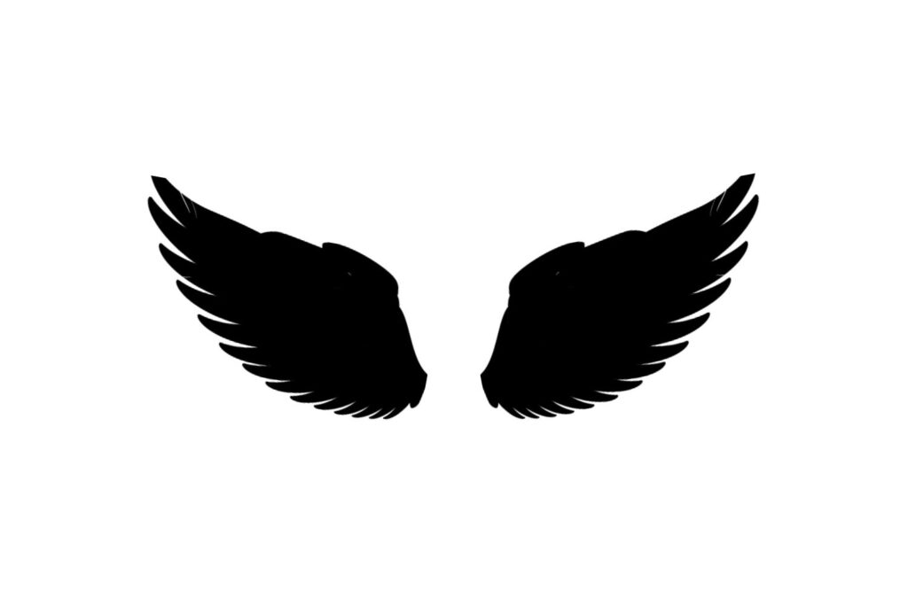 Wings SVG