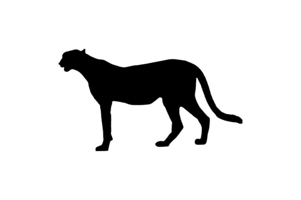 cheetah SVG