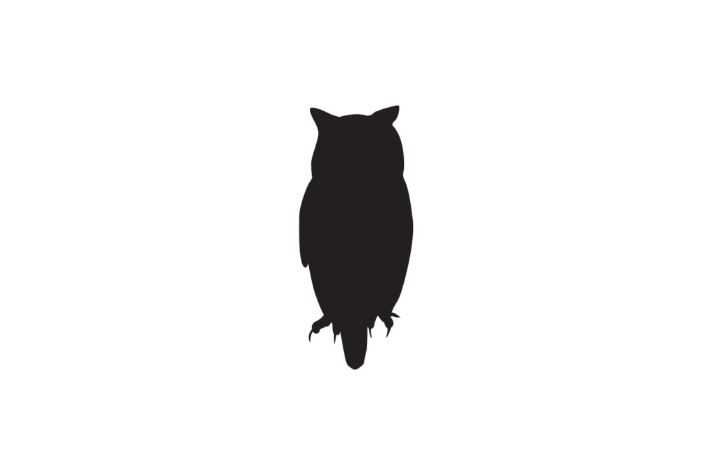 Owl SVG