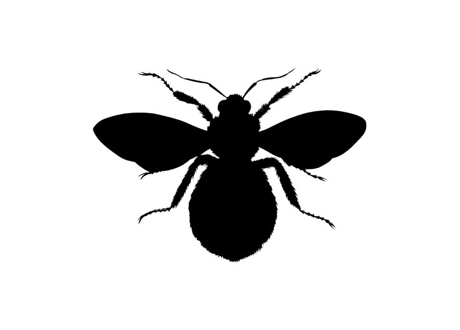 Bumblebee SVG