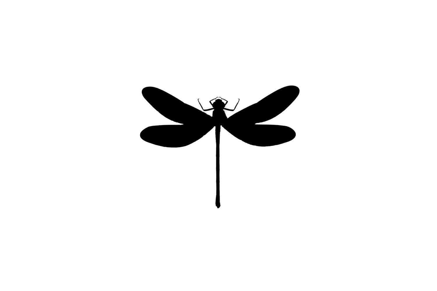 Dragonfly SVG Free Download