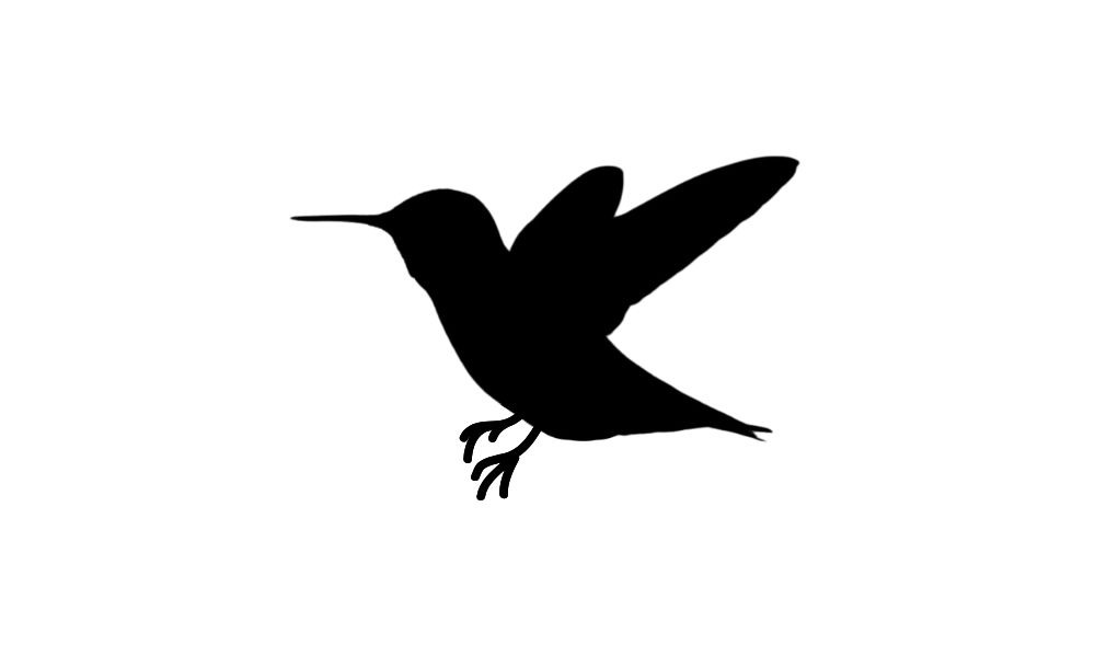 Hummingbird SVG Free Download