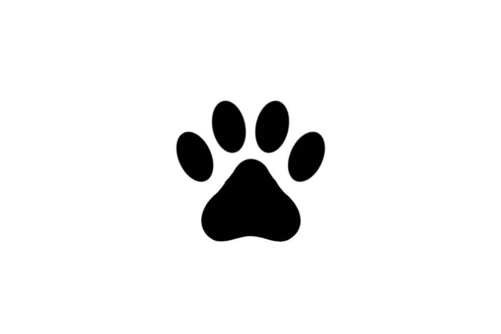 Dog Paw SVG Free Download