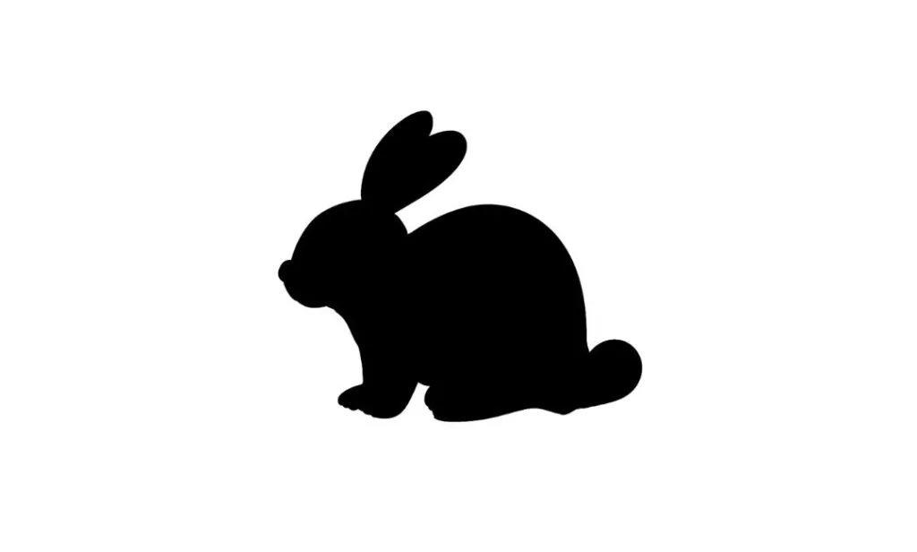 Rabbit SVG